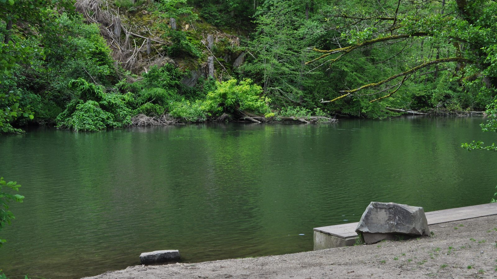 Die Lenne, ruhiger Flussabschnitt mit bewaldetem Ufer